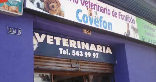 CONSULTORIO VETERINARIO DE FONTIBON CONSULTORIO VETERINARIO DE FONTIBON